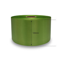 100mm Erin DM Ribbon