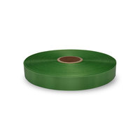 25mm Erin DM Ribbon