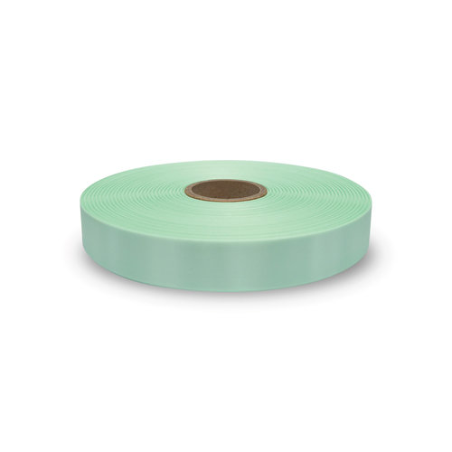 25mm Aqua DM Ribbon